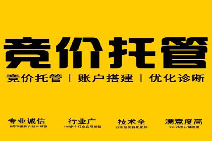 SEM投放实战：精准锁定潜在客户